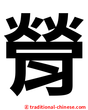 膋