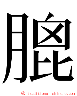 膍 ming font