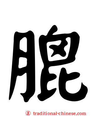 膍