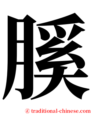 膎 serif font