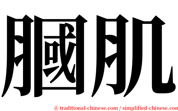 膕肌 serif font