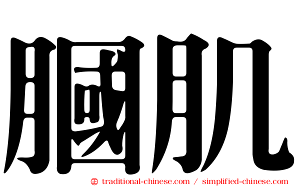 膕肌
