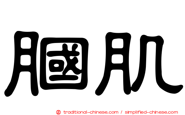 膕肌