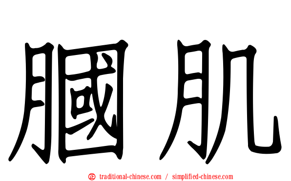膕肌