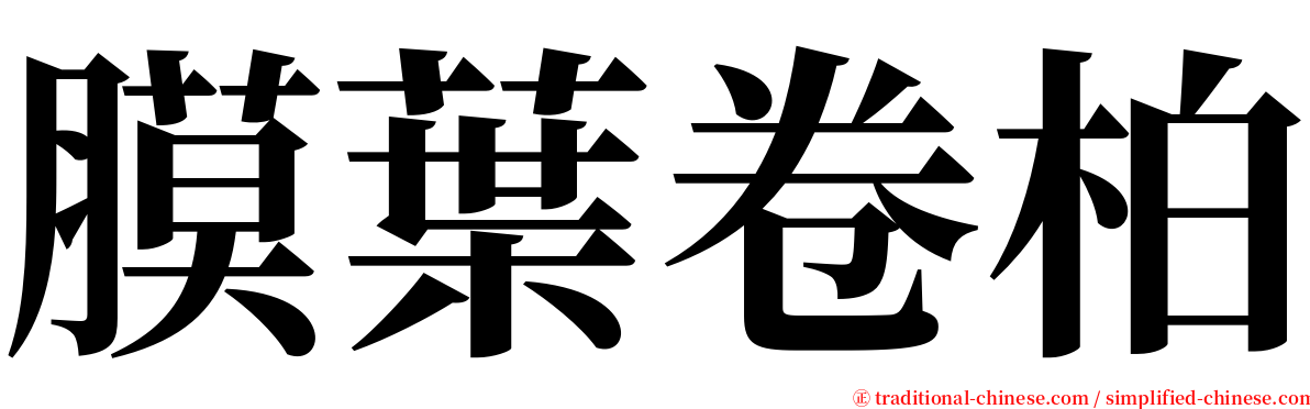 膜葉卷柏 serif font