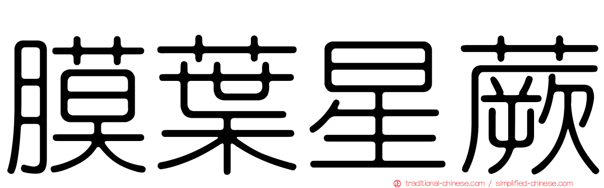 膜葉星蕨