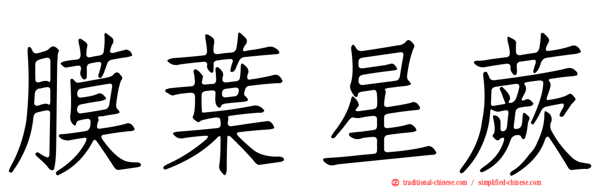 膜葉星蕨