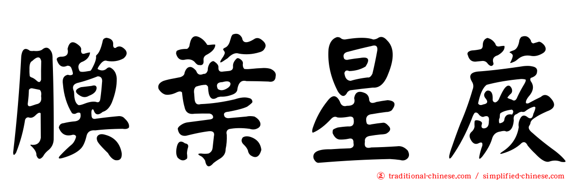 膜葉星蕨