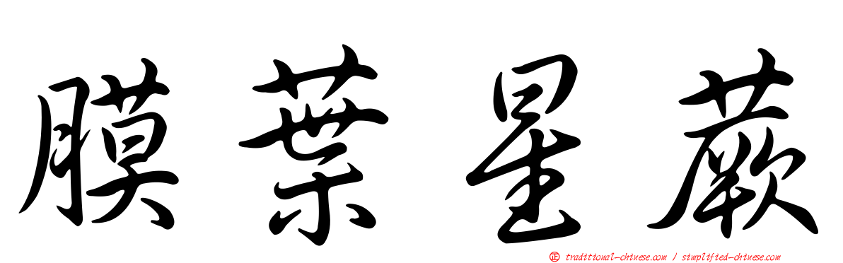 膜葉星蕨