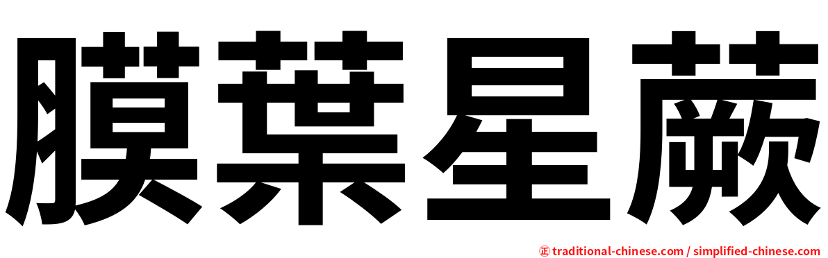 膜葉星蕨