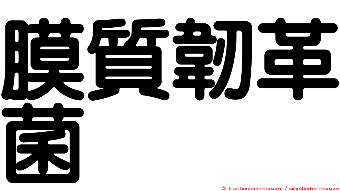 膜質韌革菌