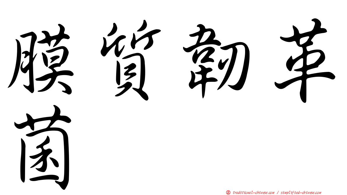 膜質韌革菌