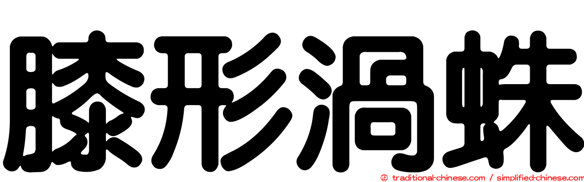 膝形渦蛛