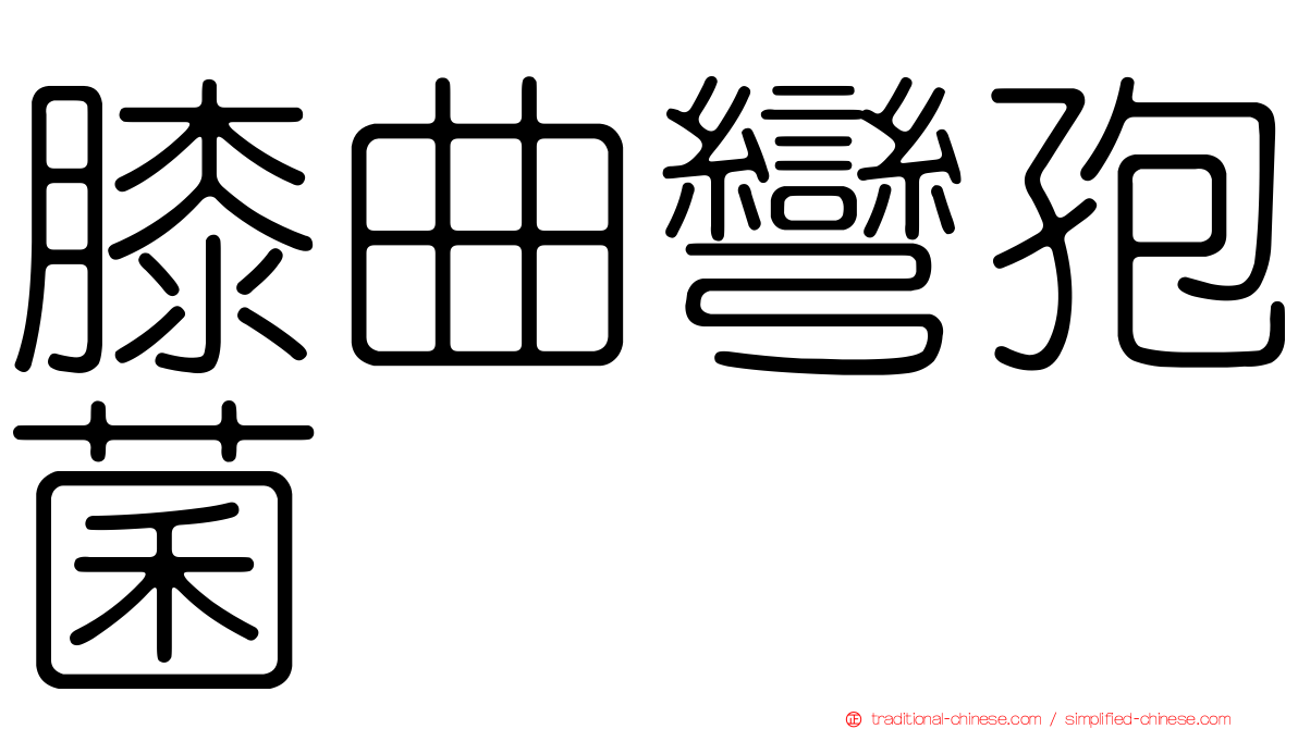 膝曲彎孢菌