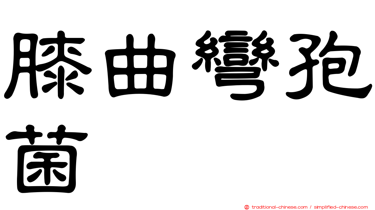 膝曲彎孢菌
