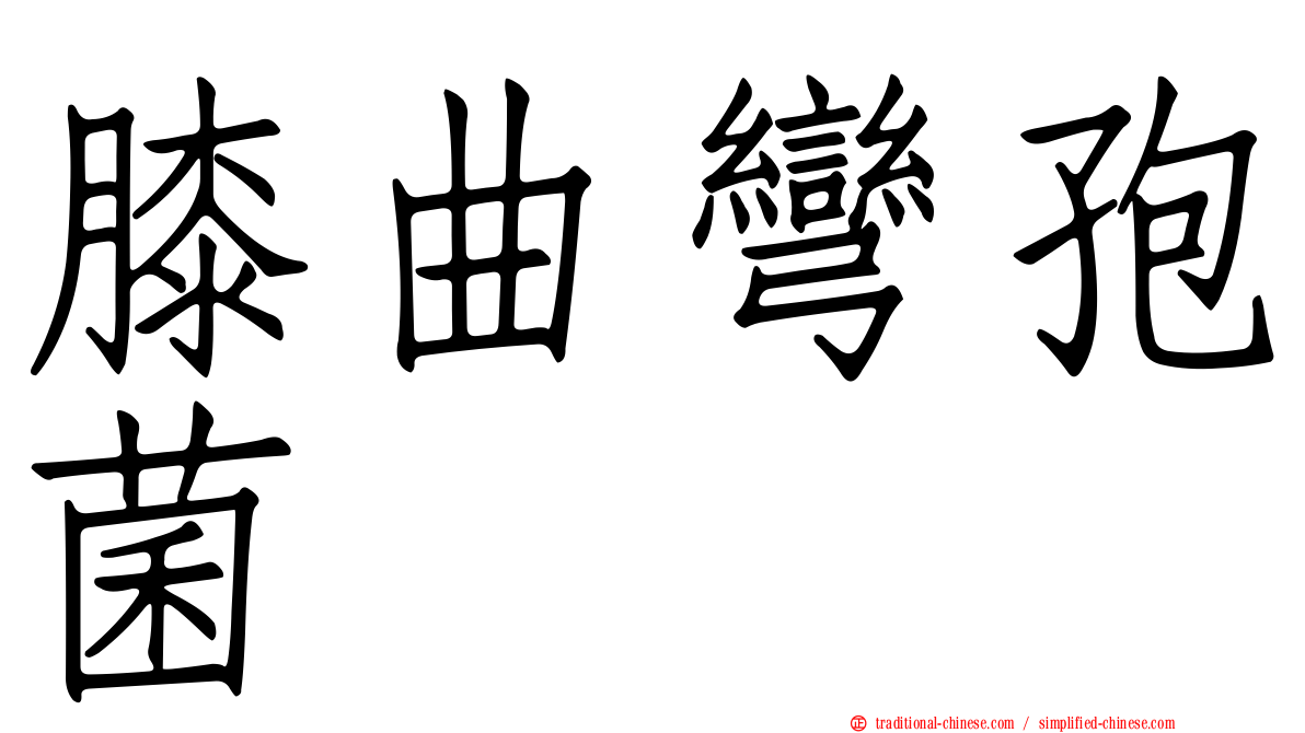 膝曲彎孢菌