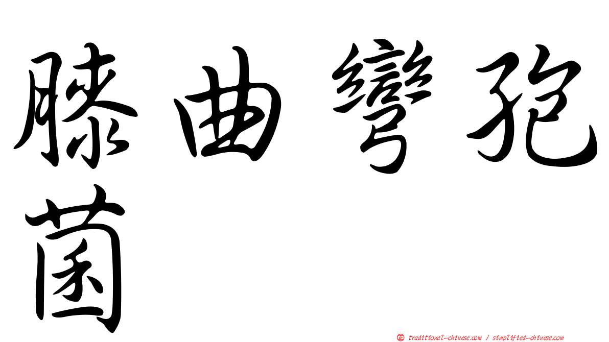 膝曲彎孢菌
