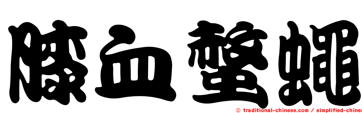 膝血螫蠅