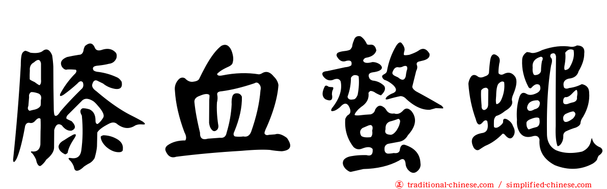 膝血螫蠅