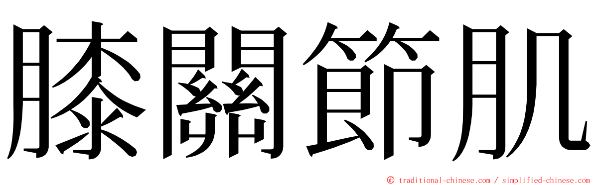 膝關節肌 ming font