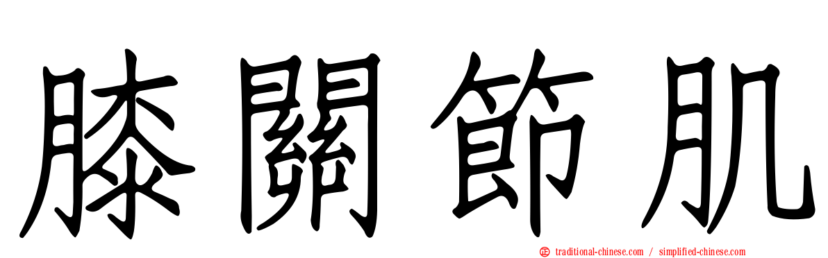膝關節肌