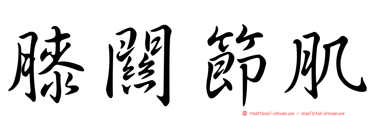 膝關節肌