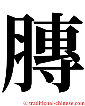 膞 serif font