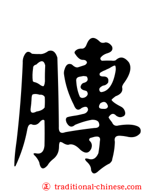 膞