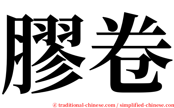 膠卷 serif font
