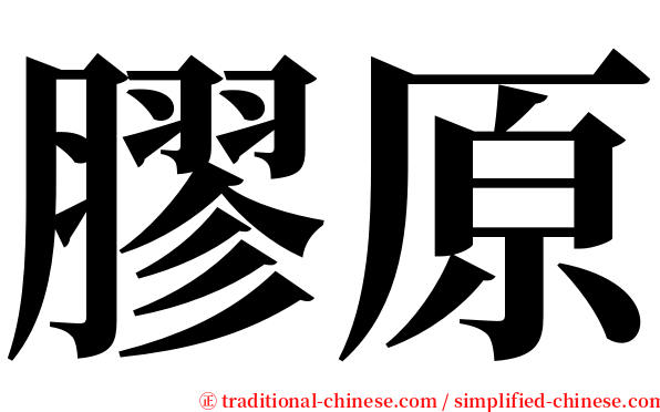 膠原 serif font
