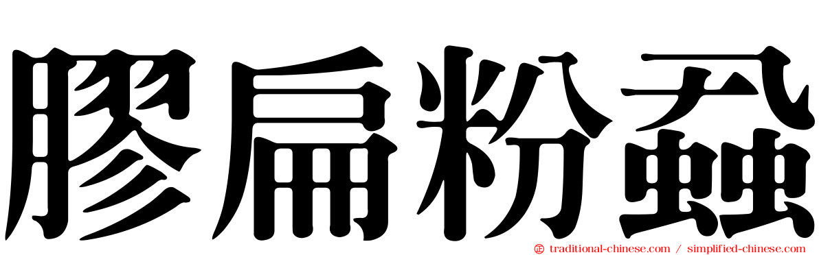 膠扁粉蝨