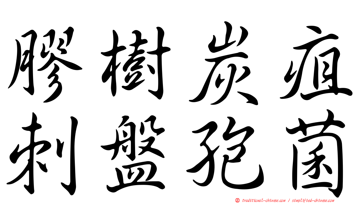 膠樹炭疽刺盤孢菌