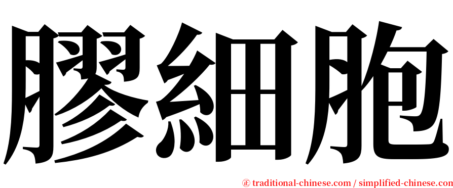 膠細胞 serif font