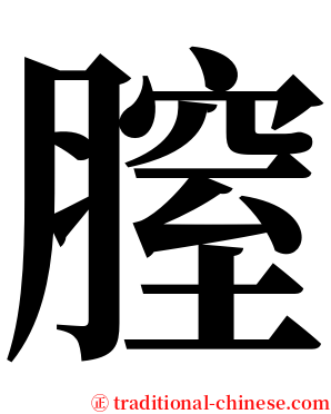 膣 serif font