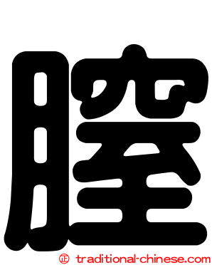 膣