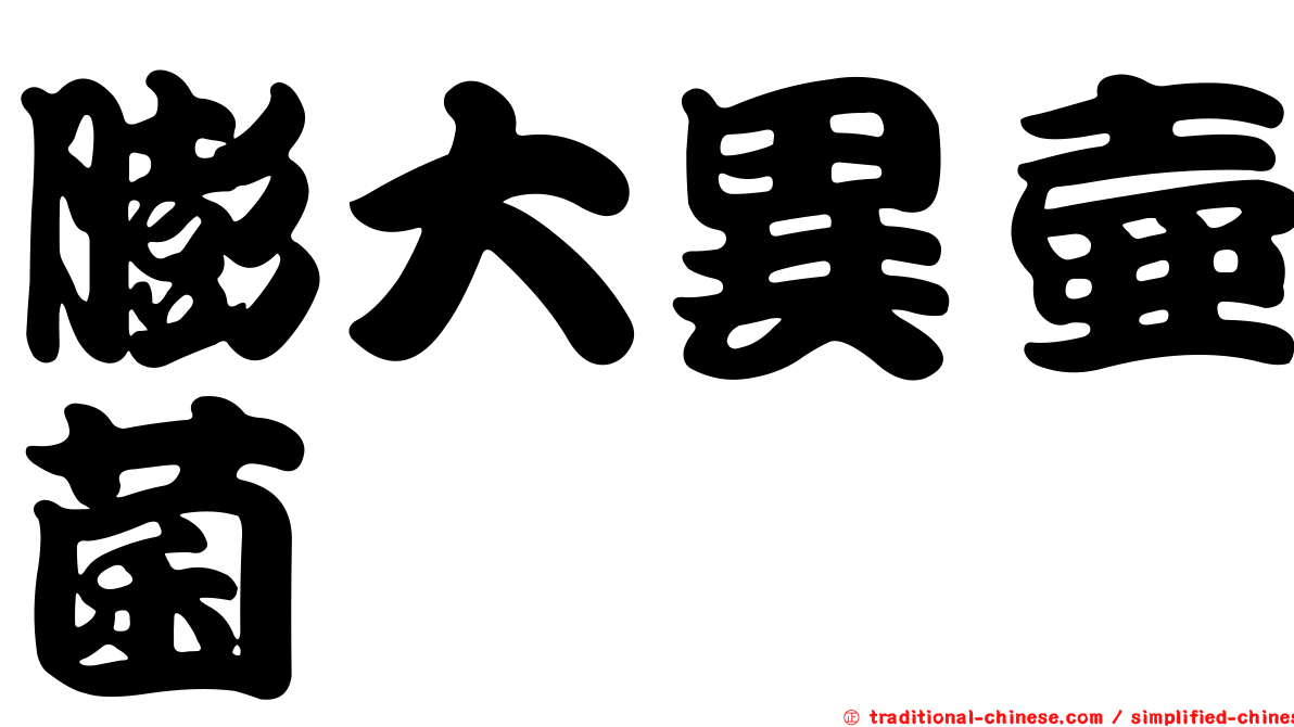 膨大異壺菌