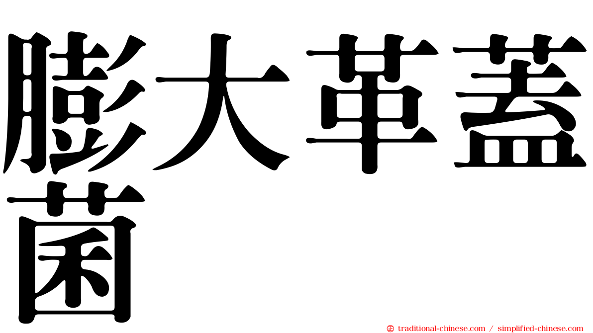 膨大革蓋菌