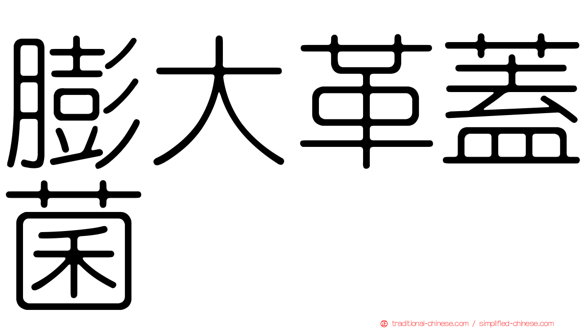 膨大革蓋菌