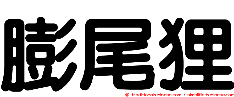 膨尾狸