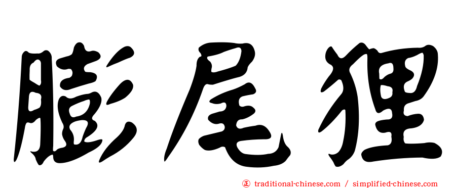 膨尾狸