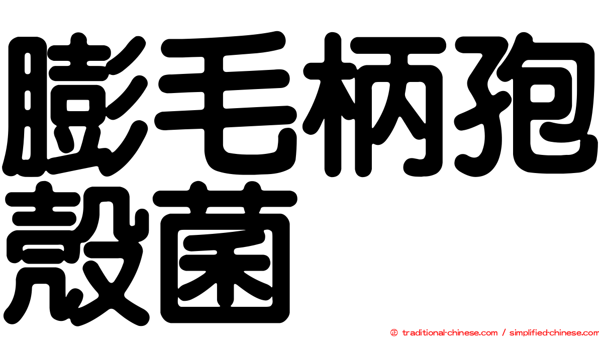 膨毛柄孢殼菌