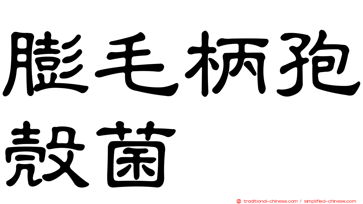 膨毛柄孢殼菌