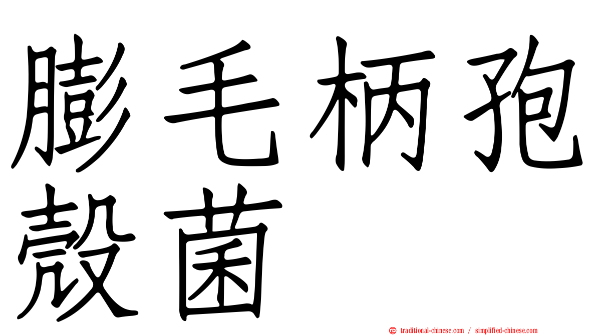 膨毛柄孢殼菌