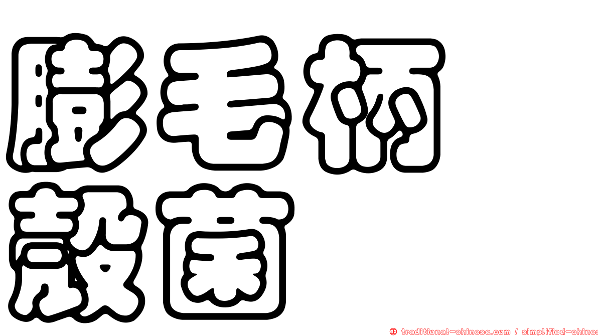 膨毛柄孢殼菌