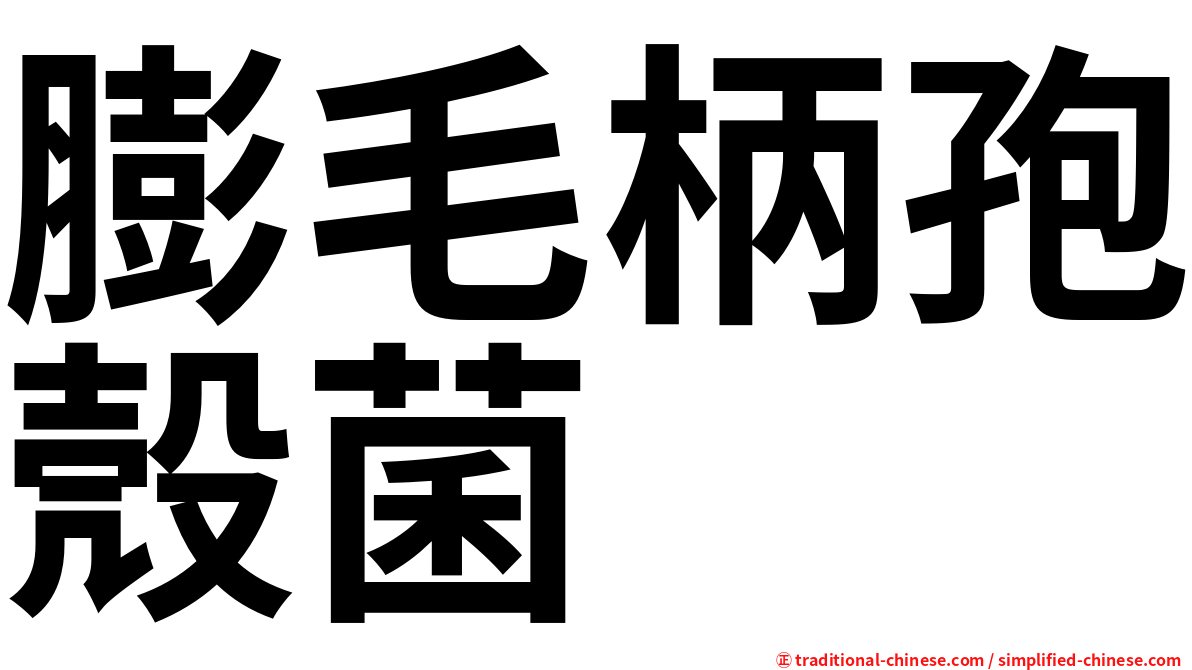 膨毛柄孢殼菌