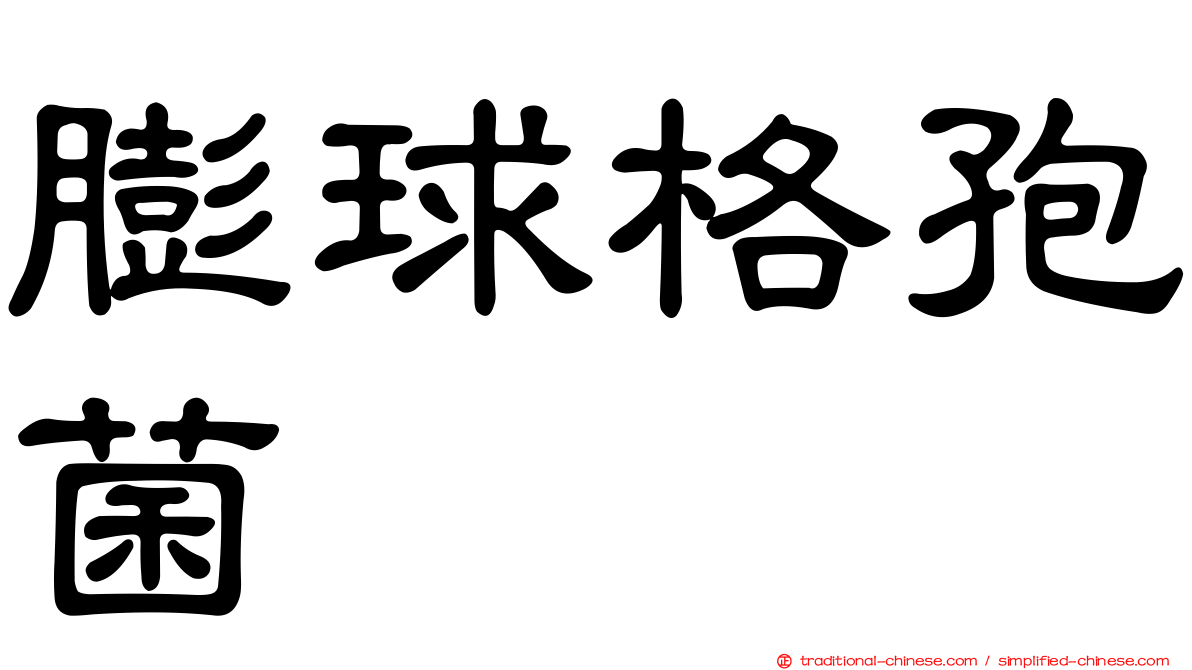 膨球格孢菌