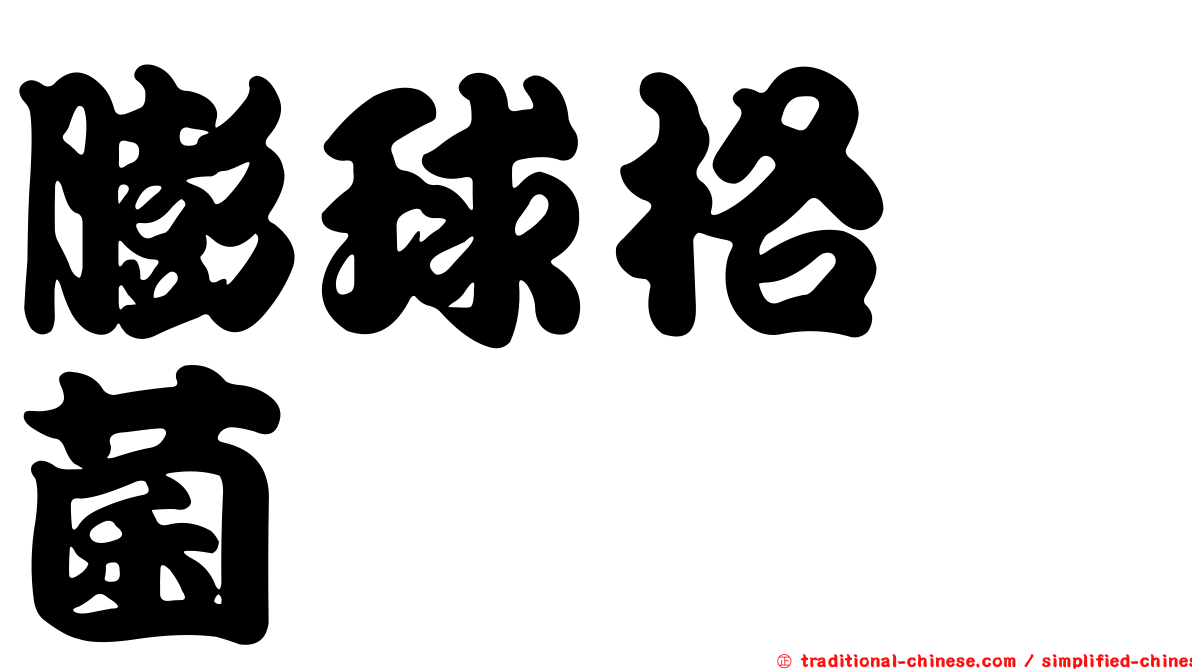 膨球格孢菌