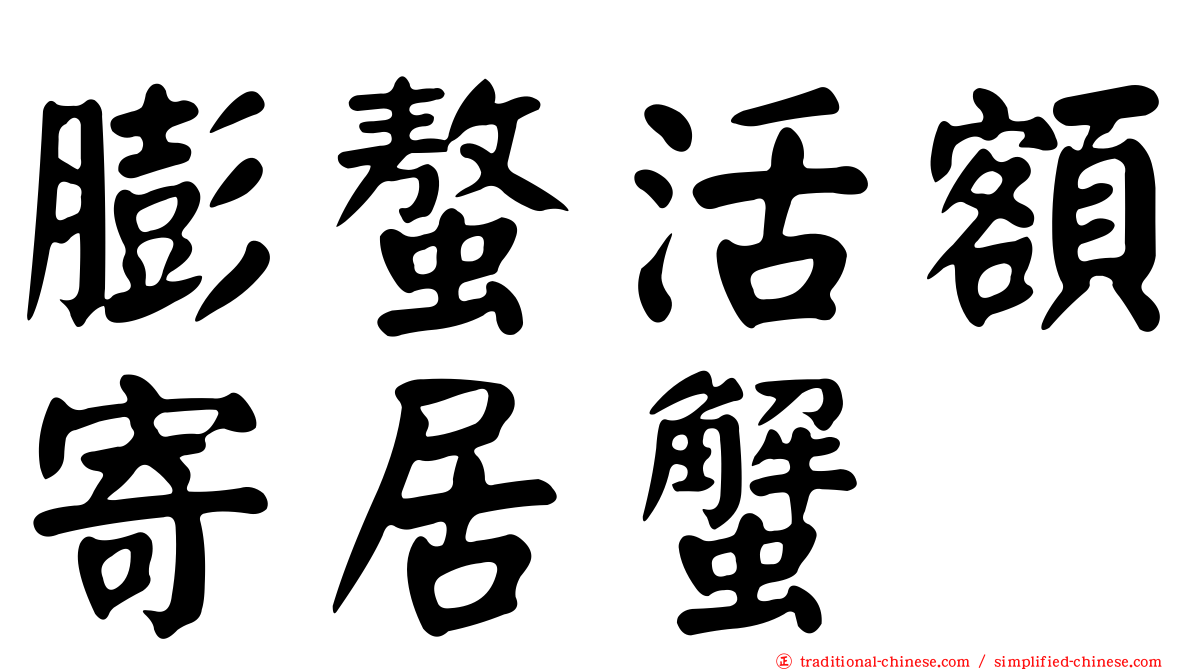 膨螯活額寄居蟹