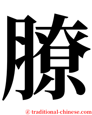 膫 serif font
