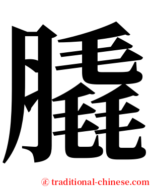 膬 serif font
